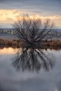 Views Of Joshâs Pond Walking Path, Reflecting Sunset In Broomfield Colorado Surrounded By Cattails, Plains And Rocky Mountain La